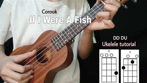 If I Were A Fish Ukelele tutorial (Corook ft. Olivia Barton) - No Capo/Easy Chords - YouTube