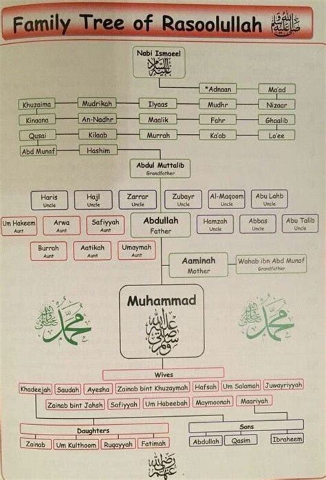 Hazrat Muhammad Family Tree