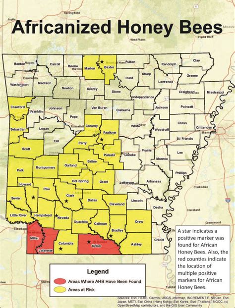 Arkansas Honey Bees & Africanized Honey Bees - Arkansas Department of Agriculture