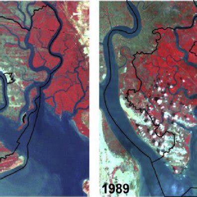 Can Gio district in 1973 (left) and 1989 (right). The impact of aerial... | Download Scientific ...