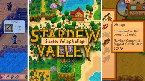 Stardew Valley: Complete Walleye Guide - VGKAMI