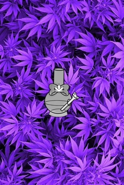 1366x768px, 720P Free download | Purple Weed Stoner , Stoner Aesthetic HD phone wallpaper | Pxfuel