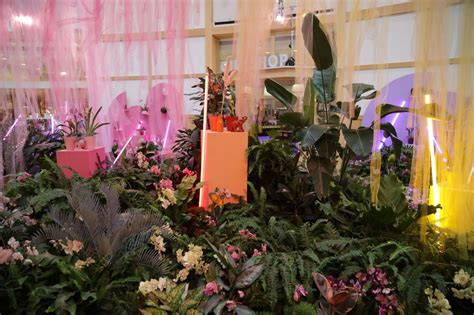 Orchids Forever show opens this weekend at Cleveland Botanical Garden (photos) - cleveland.com