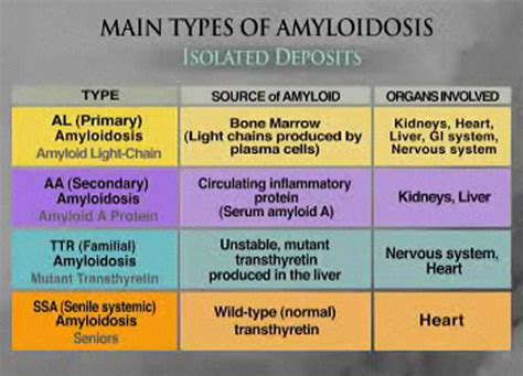 Multiple Myeloma Prognosis | Multiple myeloma, Chronic inflammation ...