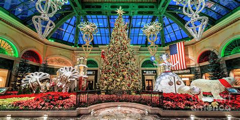 Bellagio Christmas Tree at Dawn 2017 2 to 1 Ratio Photograph by Aloha ...