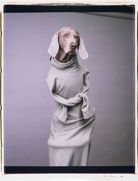 William Wegman Looks Back at 30 Years of Photographing His Beloved Dogs ...