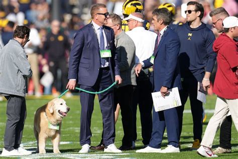 Kirk Herbstreit's dog Ben is ready for college football title game