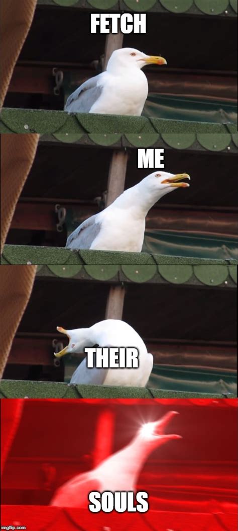 Inhaling Seagull Meme - Imgflip