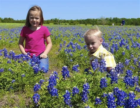 The Eyrings: Texas Bluebonnets - Such great pictures.. no words needed!!