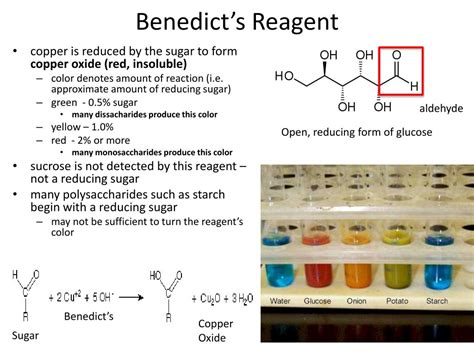 What do the colors of benedicts reagent mean – The Meaning Of Color