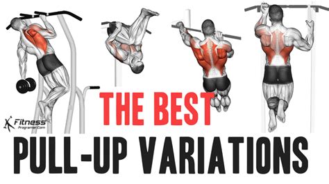 Pull-Ups For Everyone: A Beginner's Guide To Mastering