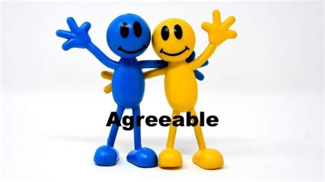 Agreeable | counselorssoapbox