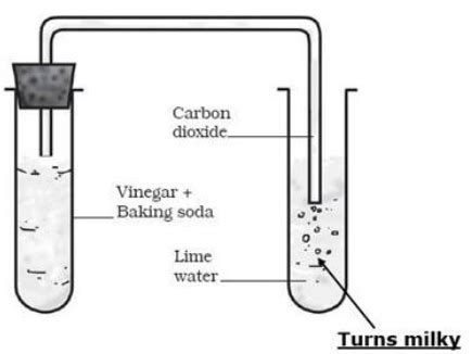 Chemical Equation For Lime Water And Carbon Dioxide - Tessshebaylo