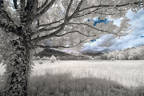 Digital Infrared Photography Primer - Infrared Conversions, IR Modifications & Photography ...