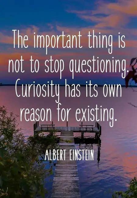 189+ LEGENDARY Curiosity Quotes to Rekindle Your Life - BayArt