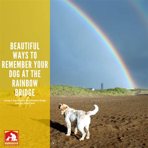 Rainbow Bridge Memorial Ideas | Dog Training In Your Home Myrtle