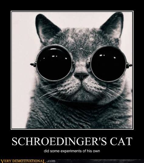 [Image - 344694] | Schrodinger's Cat | Know Your Meme