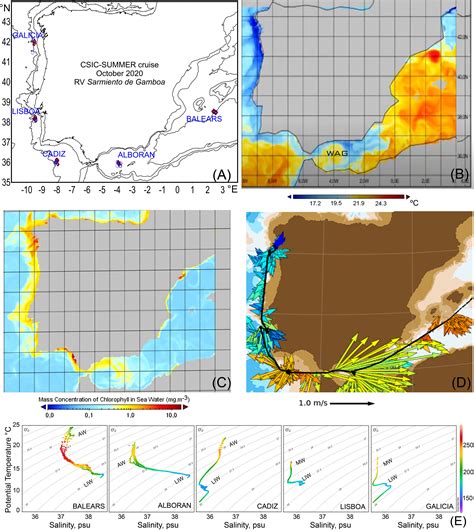 Frontiers | Variation in mesopelagic fish community composition and structure between ...