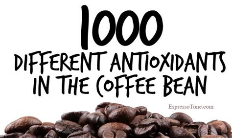 Black Coffee Benefits for Skin – 10 Facts That May Change Your Habits