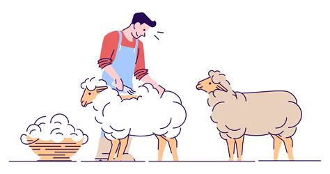 Male farmer shearing sheep flat vector character. Wool production ...