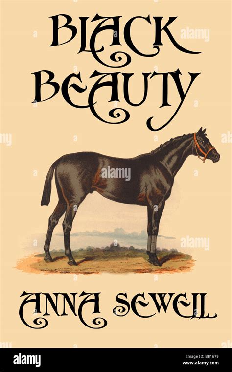 Black beauty book cover hi-res stock photography and images - Alamy