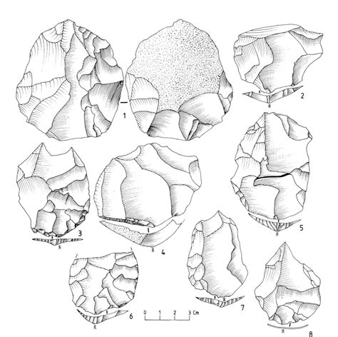 -1 : Levallois core; 2-8 : Levallois flakes. | Download Scientific Diagram