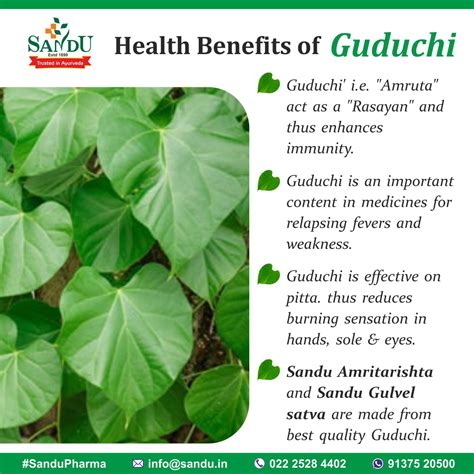 Health benefits of Guduchi : r/Ayurveda