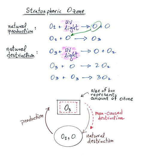 Stratospheric ozone and the ozone layer