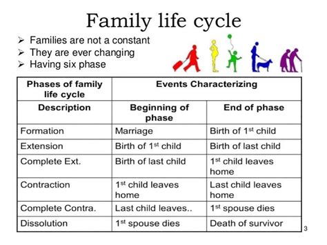 Family its role functions and responsibilities