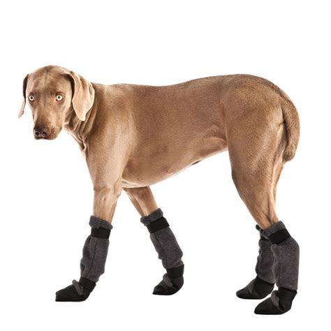 WEIMARANER Dog Booties Winter Boots Waterproof Dog Shoes