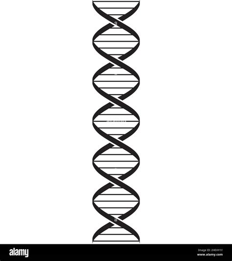 Simple Dna Strand Drawing