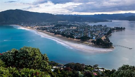 Three sharks spotted at popular Coromandel beach | Newshub