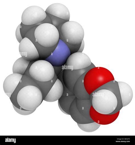 methylenedioxypyrovalerone (MDPV, Bath salts) molecule, chemical structure. Atoms are ...