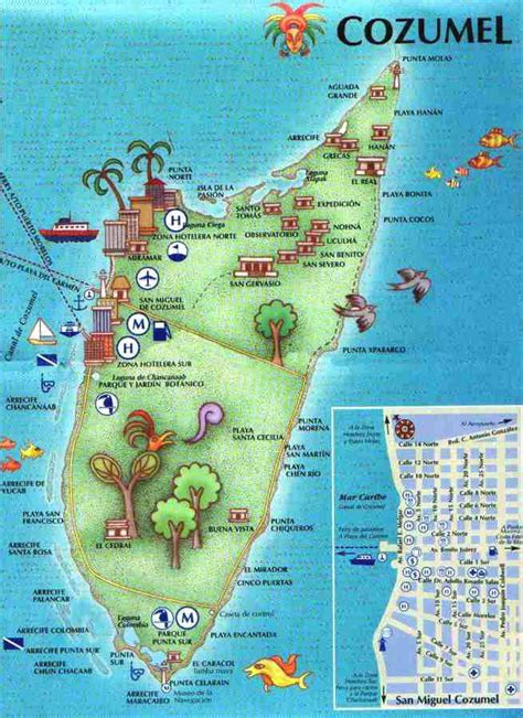 O que fazer em Cozumel em um dia? | Mapa cozumel, Crucero cozumel ...