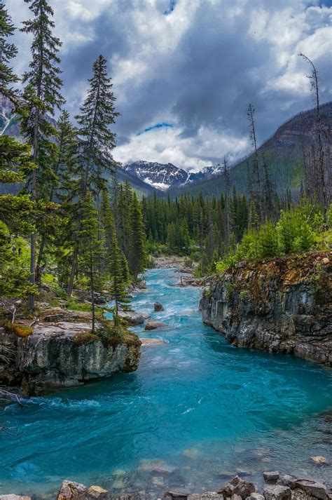 Marble Canyon in Kootenay National Park | Beautiful nature, Beautiful places to travel, Nature ...