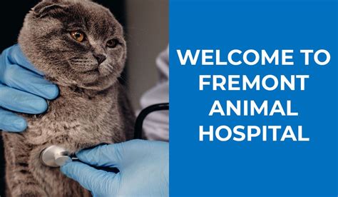 Welcome to Fremont Animal Hospital - Blog