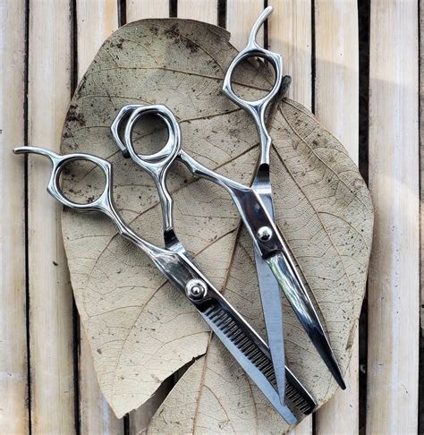 19 Different Types of Scissors - VerbNow