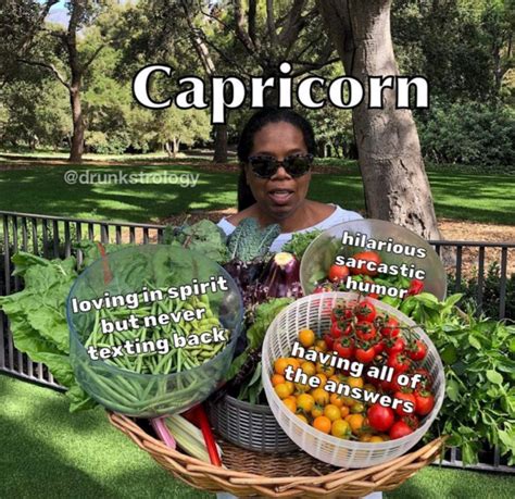 These Capricorn Season Memes Will Totally Speak to Your Inner Goat