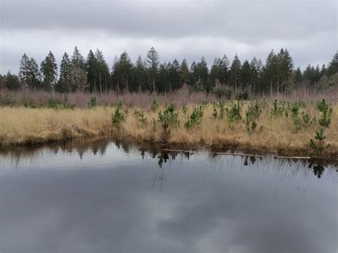 Hiking in the Netherlands: the most beautiful trails - Backpack Adventures