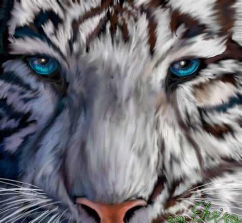 Amazing White Tigers With Blue Eyes ~ Wallpaper & Pictures