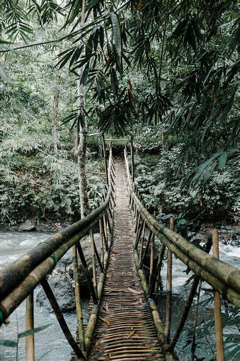 "Suspension Bridge In The Jungle" by Stocksy Contributor "Julia Volk ...