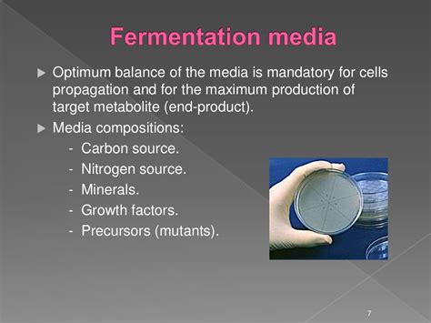 Microbial fermentation By Aneela Saleem