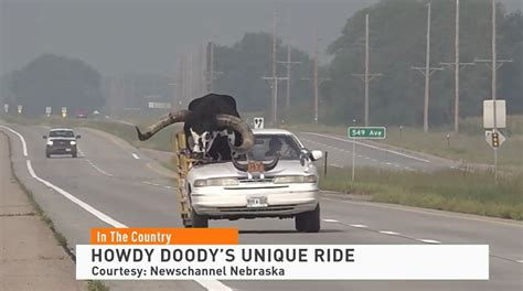 Meet Howdy Doody: The Famous Watusi Bull | Drovers