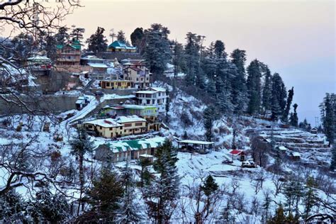 Kufri Tourism (2024) - Himachal Pradesh > Top Places, Travel Guide