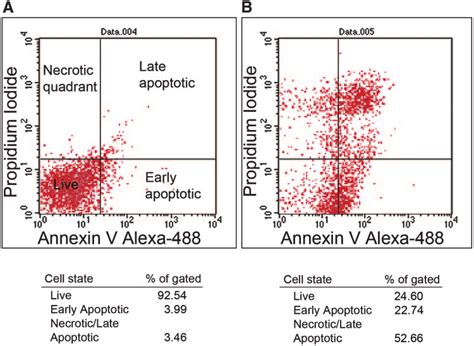 Human RPE cells died by apoptosis in response to the presence of Fas... | Download Scientific ...