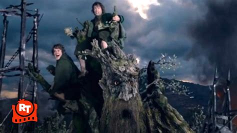 Ents Lord Of The Rings