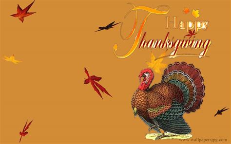 Thanksgiving Turkey Wallpapers - Wallpaper Cave