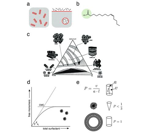 1: Fundamentals of Amphiphile Self-Assembly. (a) The hydrophobic... | Download Scientific Diagram