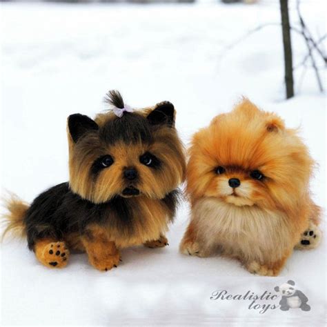 A realistic plush toy dog Pomeranian, OOAK, stuffed animal dog, realistic by Novoselona Irina ...