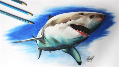 Shark Pencil Drawing at GetDrawings | Free download